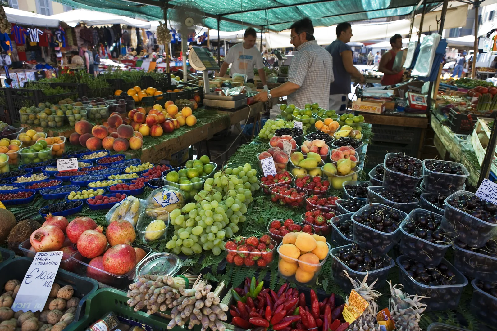 International residents planning their cost of living in Rome